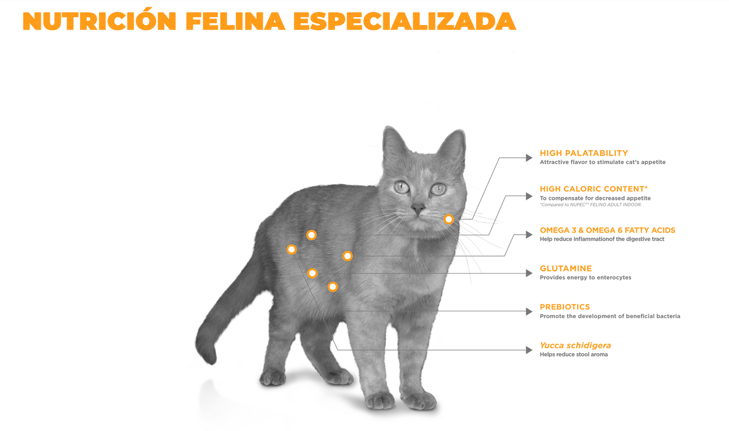 NUPEC - FELINO DIGESTIVE HEALT 1.5 KG