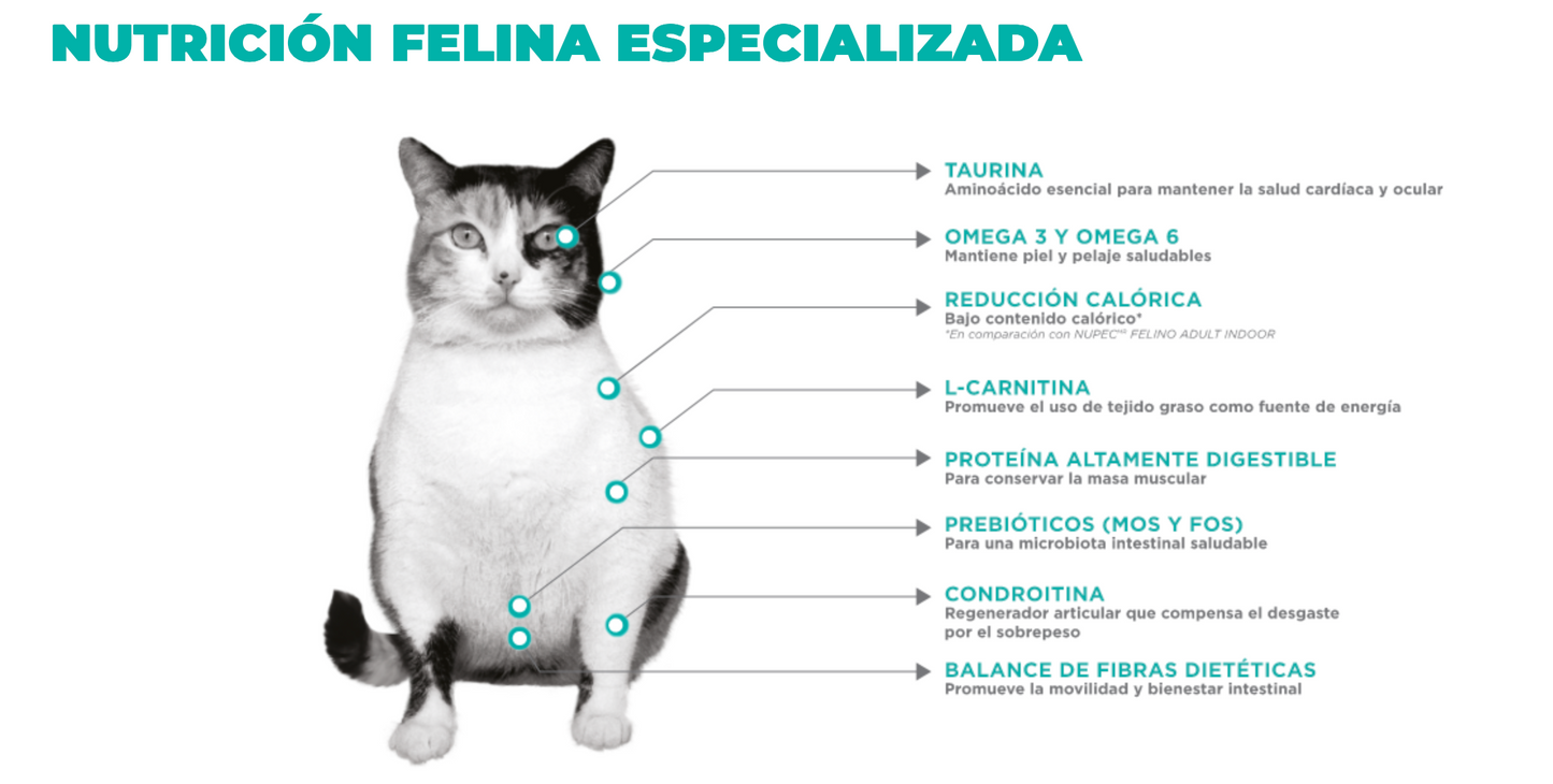 NUPEC - FELINO WEIGHT CARE 3 KG