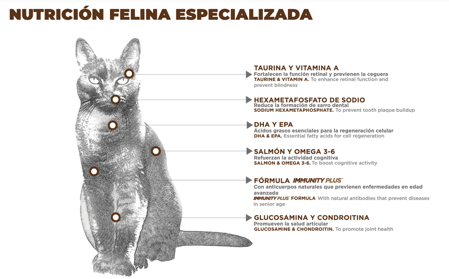 NUPEC - FELINO SENIOR