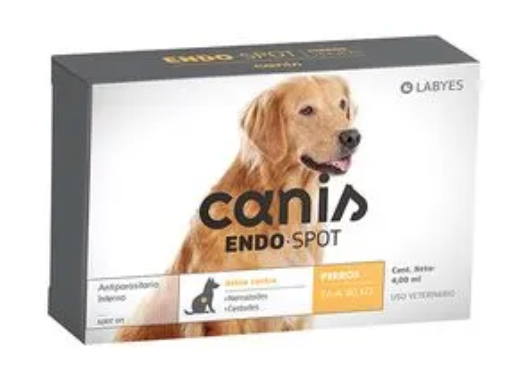 Canis Endo Spot