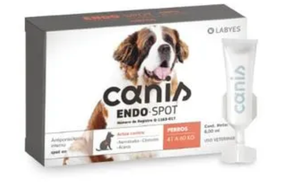 Canis Endo Spot