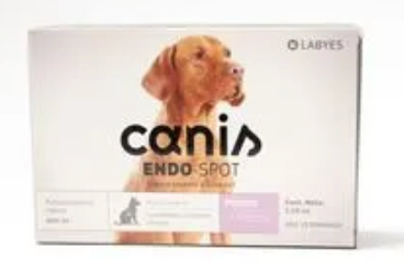 Canis Endo Spot