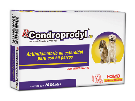 RX CONDROPRODYL® - 100 MG