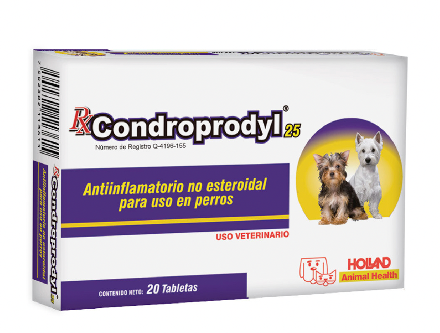 RX CONDROPRODYL® - 25 MG