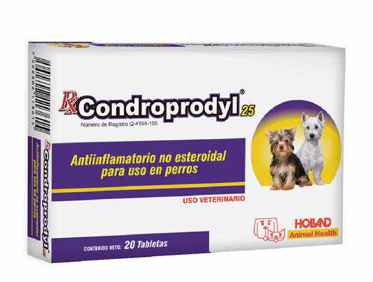 RX CONDROPRODYL® - 25 MG