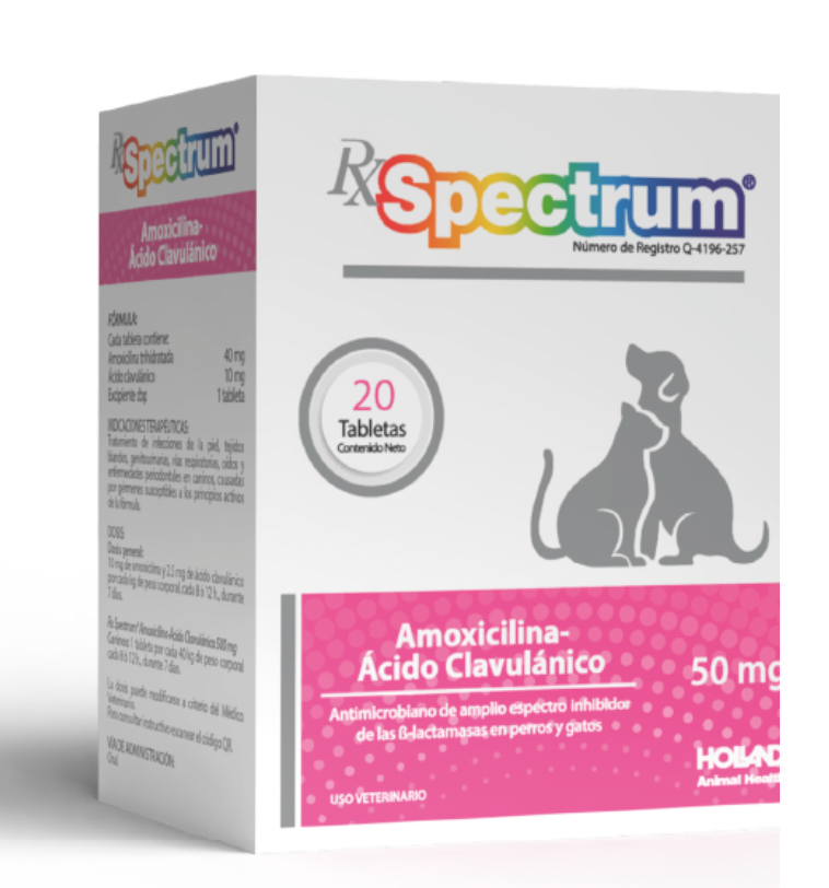 RX SPECTRUM® AMOXICILINA ÁCIDO-CLAVULÁNICO - 50 MG