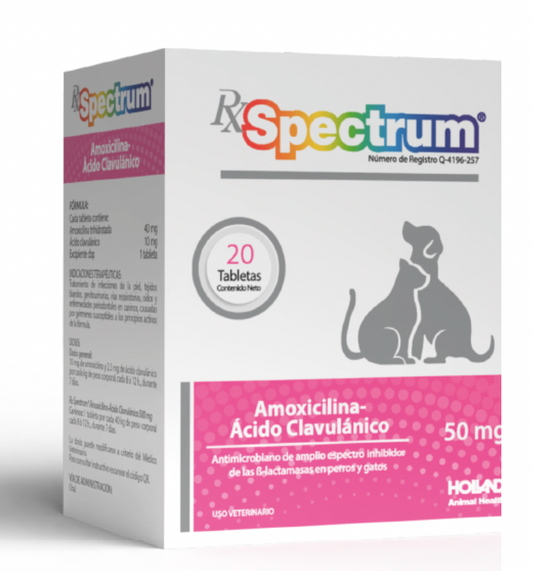 RX SPECTRUM® AMOXICILINA ÁCIDO-CLAVULÁNICO - 50 MG
