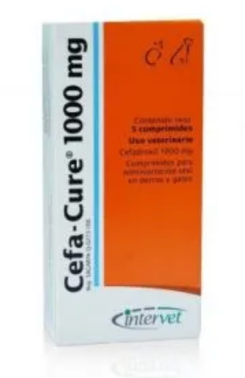 CEFA CURE - MSD