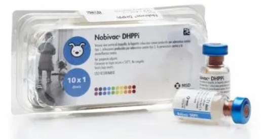 Nobivac DHPPI - MSD