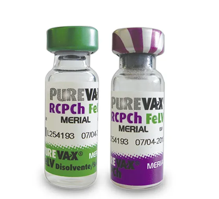 Purevax* Rcpch FelV - BOEHRINGER
