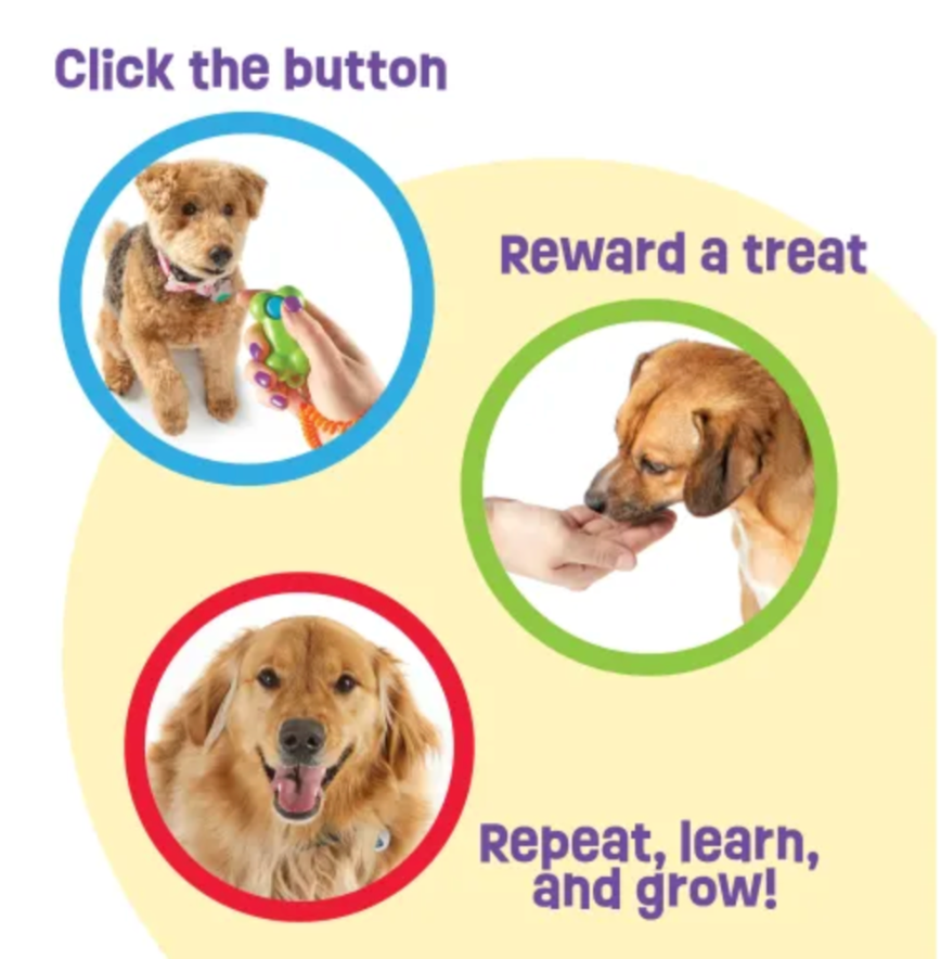 Clicker de Entrenamiento - Brightkins Benefits