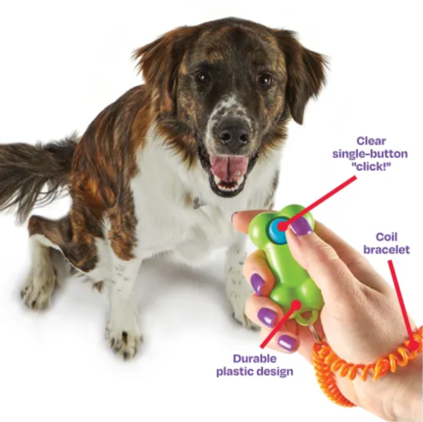 Clicker de Entrenamiento - Brightkins Benefits