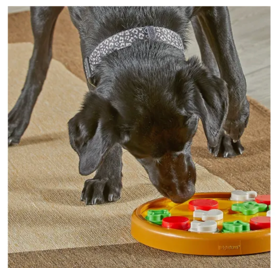 Pizza Party! Treat Puzzle - Brightkins Benefits