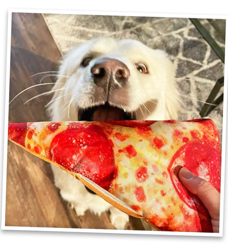 Munchies Pizza Slice - Doggijuana