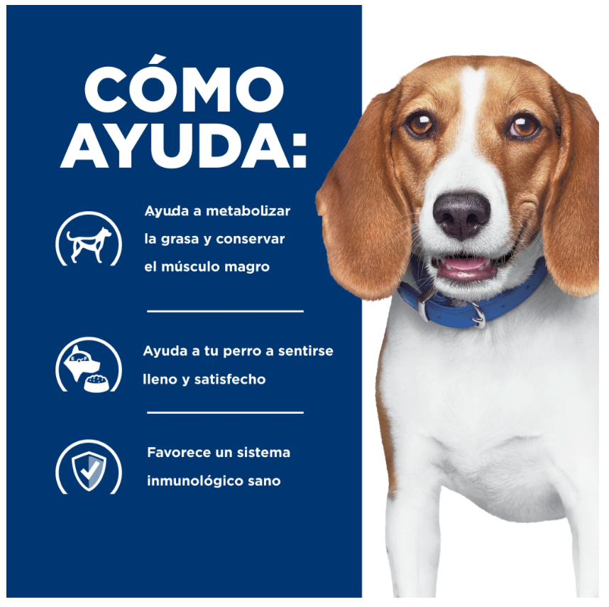 Hills Science Diet Alimento Perros r/d Sobrepeso Diabetes Pienso RD