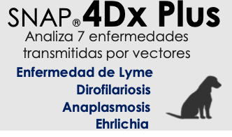 Prueba SNAP 4Dx Plus Paq. 5 Pzas. - IDEXX