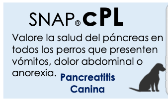 Prueba SNAP cPL 5 Pzas.  - INDEXX