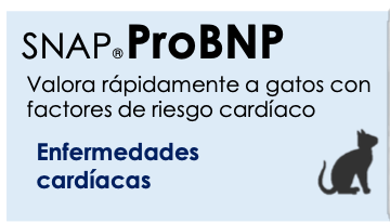 Prueba SNAP Feline proBNP 5 Pzas - INDEXX