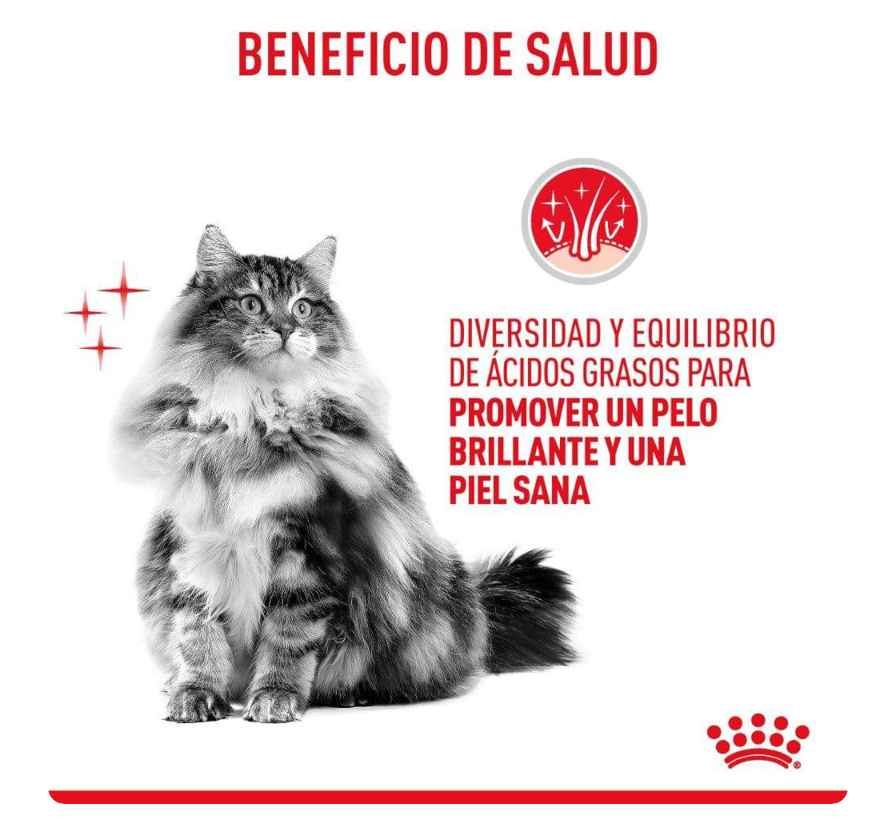 Lata Gato Hair and Skin Care 85 gr - Royal Canin