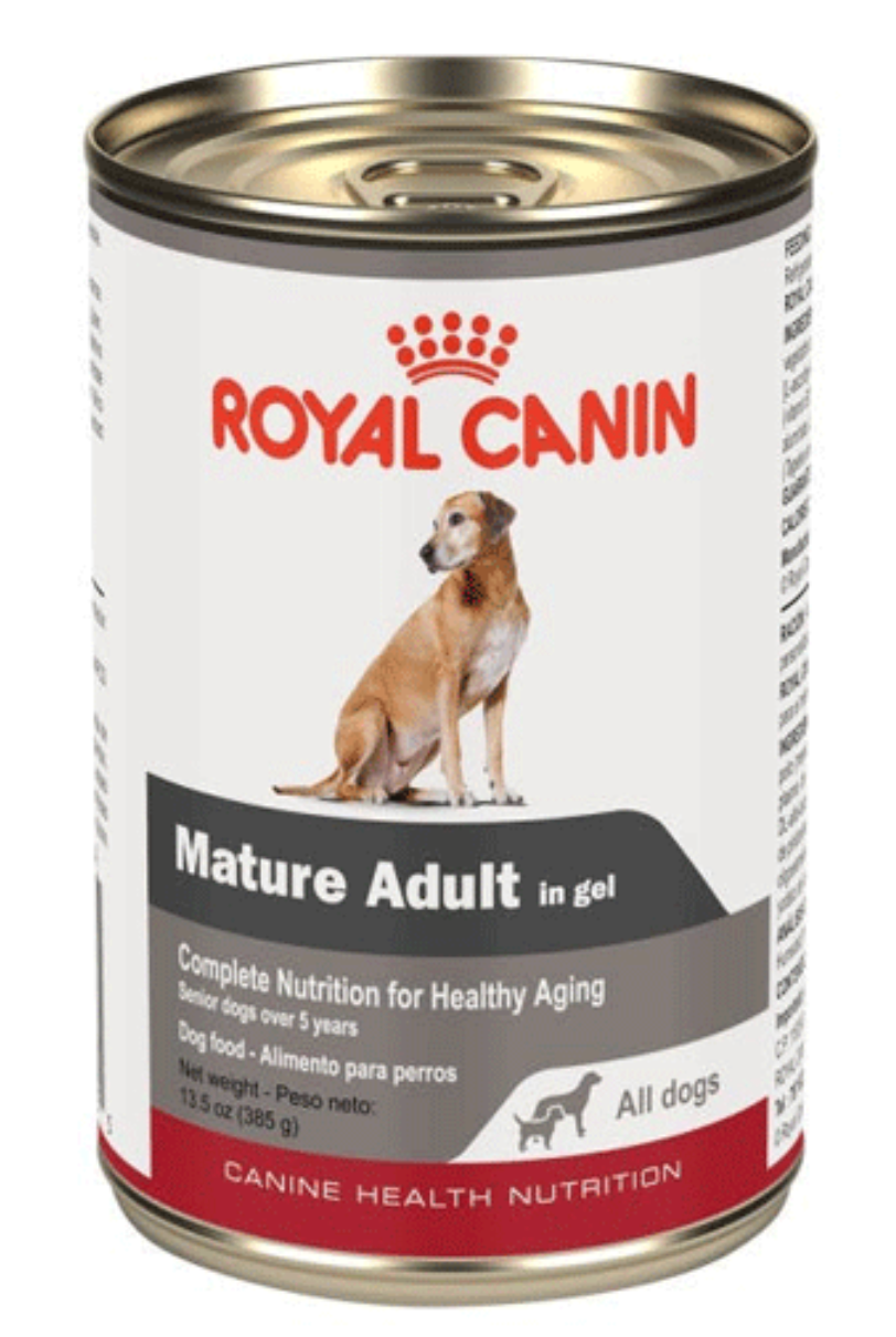 CHN Mature All Dogs in Gel - Royal canin