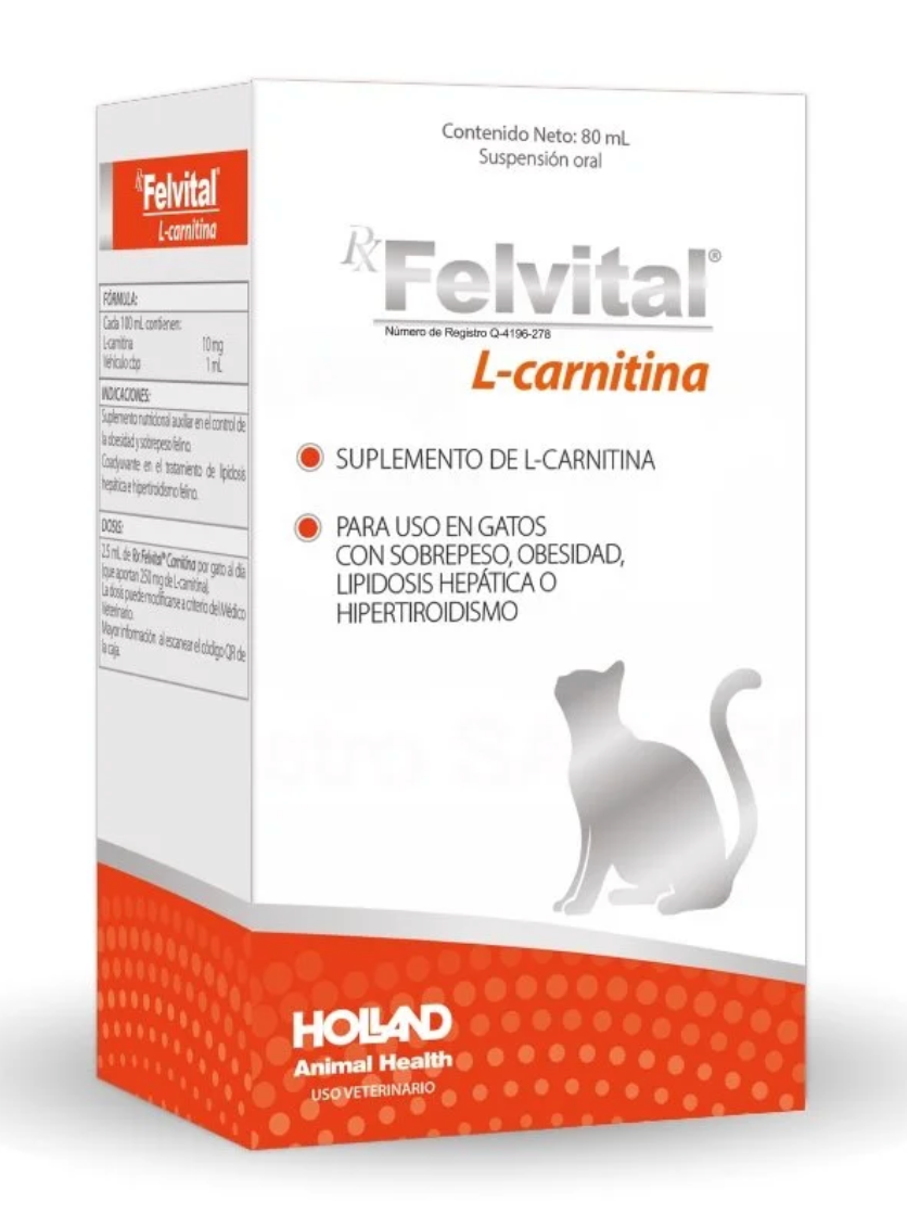 RX FELVITAL® L-CARNITINA - Holland
