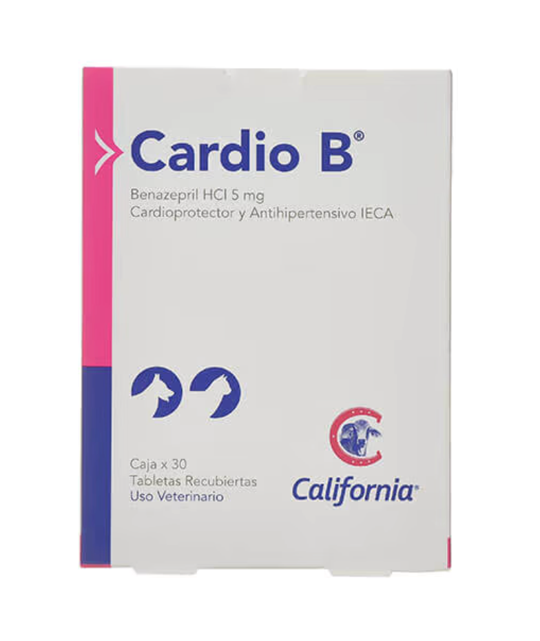 Cardio B - California