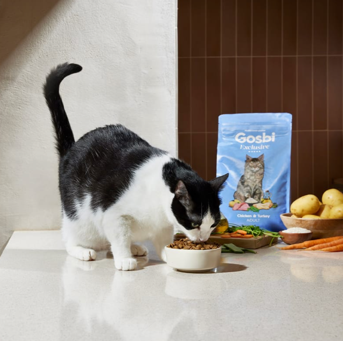 Exclusive Cat Adult Chicken with Turkey | GOSBI ***