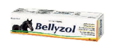 Bellyzol - Biochem*