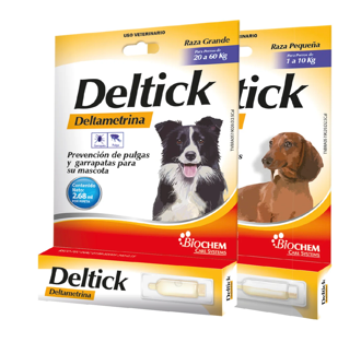 Deltik _ Biochem*