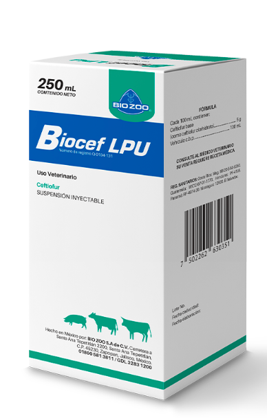 Biocef LPU - Bio Zoo*