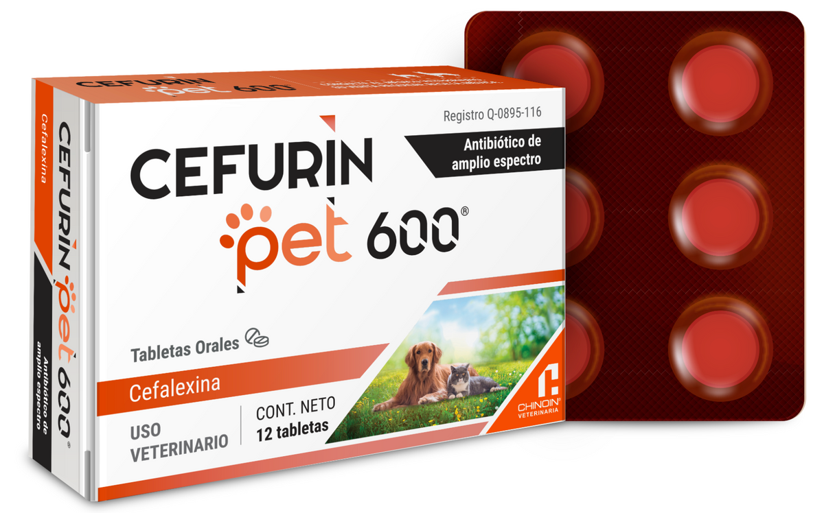 CEFURIN PET 600® - Chinoin AC *