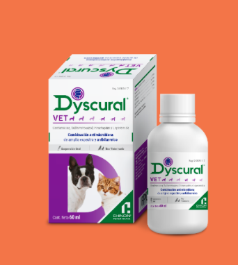 DYSCURAL VET® - Chinoin AC *