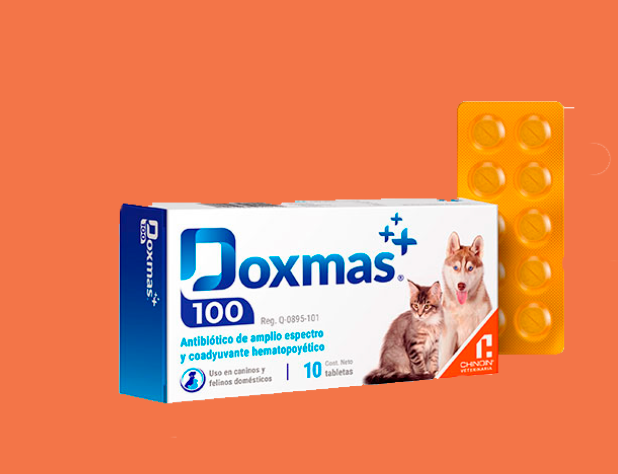 Doxmas - Chinoin AC *
