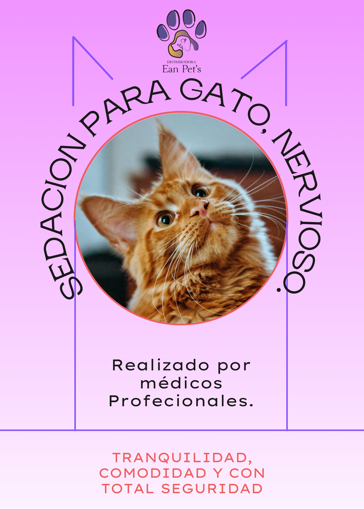Sedación para Perros / Gatos Nerviosos