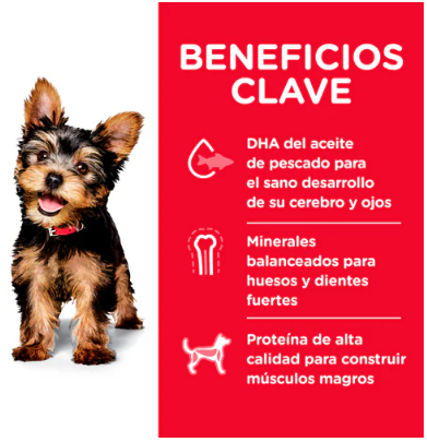 Hill's Science Diet Small & Mini Puppy, alimento para cachorros de razas pequeñas y miniatura
