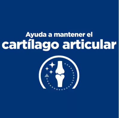 Hill's Prescription Diet j/d Alimento para Perros
