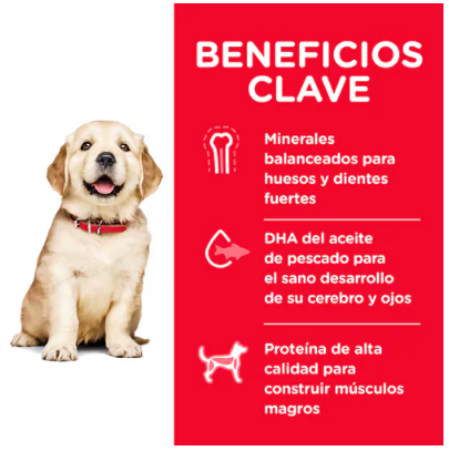 Hill's Science Diet Alimento Seco para Cachorro Raza Gigante Receta Pollo y Avena