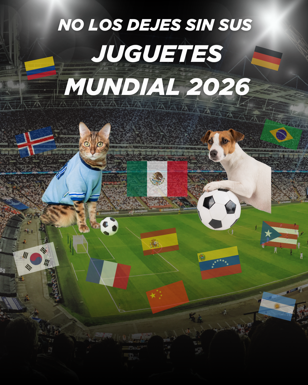 Accesorios, Juguetes y Premios.