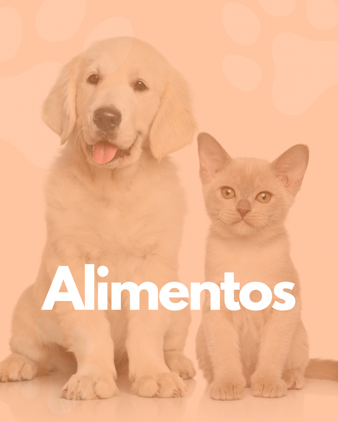 Alimento a Domicilio para Perros y Gatos en CDMX & Estado de México