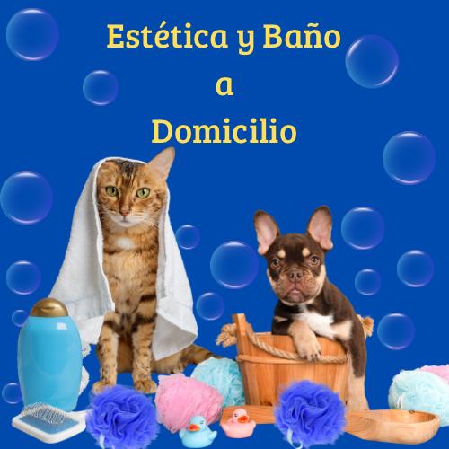 Baño y Estética a Domicilio para Perros y Gatos en CDMX & Estado de México