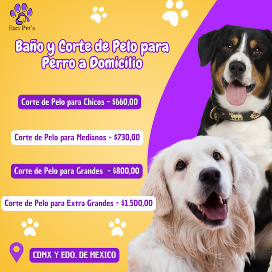 Baño y Corte de Pelo para Perro a Domicilio en CDMX & Estado de México