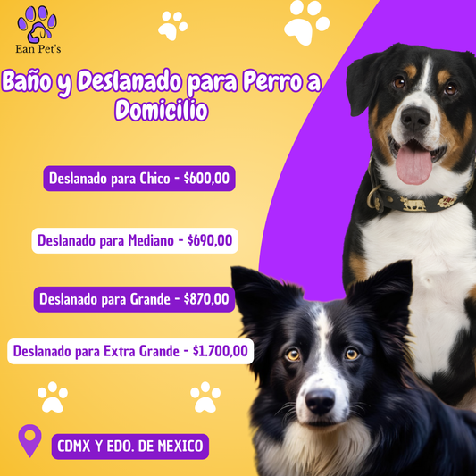 Baño y Deslanado para Perro a Domicilio en CDMX & Estado de México