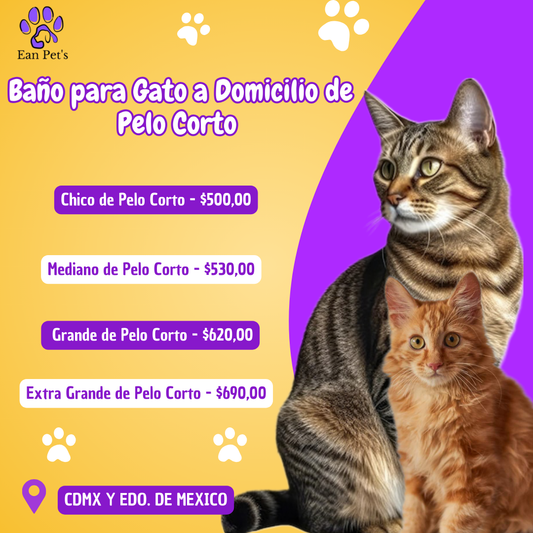 Baño para Gato a Domicilio en CDMX & Estado de México