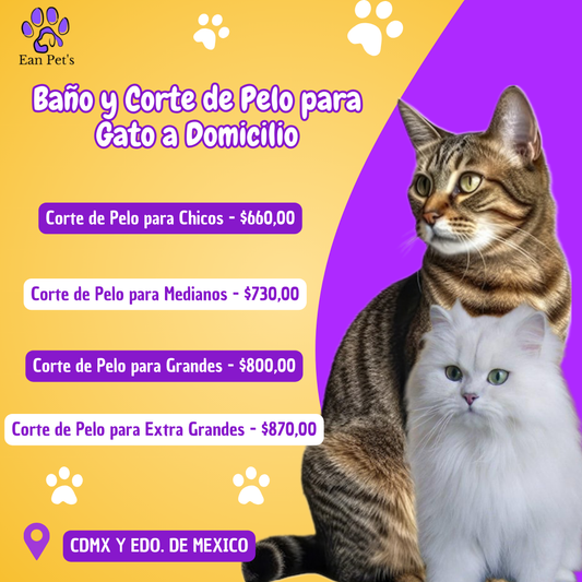 Baño y Corte de Pelo para Gato a Domicilio en CDMX & Estado de México