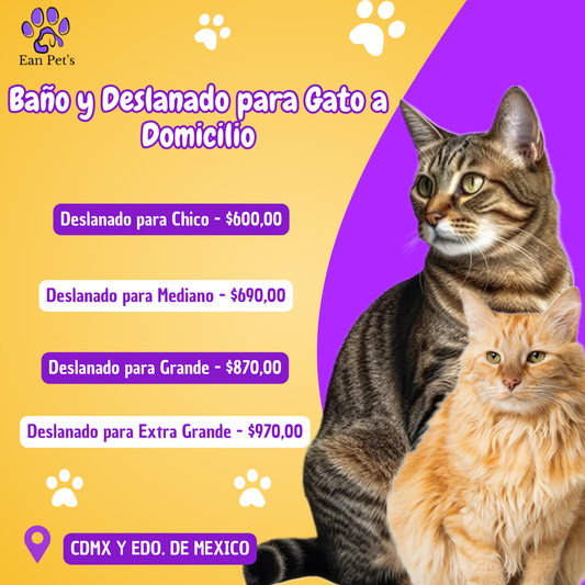 Baño y Deslanado para Gato a Domicilio en CDMX & Estado de México