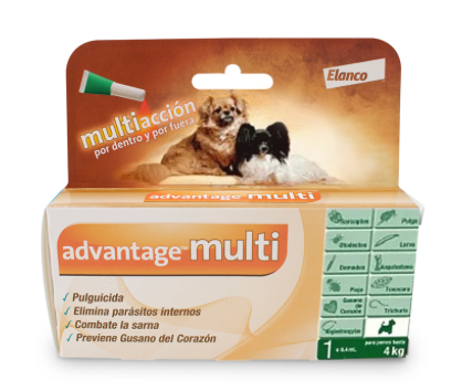 Advantage Multi