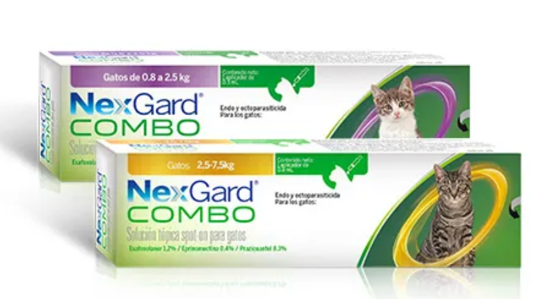 NEXGARD COMBO GATO