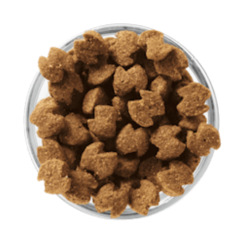 Eukanuba - ADULT SMALL BREED