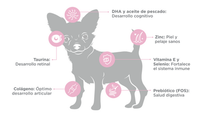 NUPEC -  CACHORRO RAZAS MINI 1KG