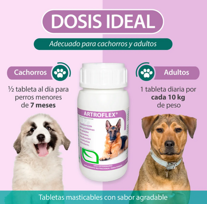 ARTROFLEX FRASCO CON 60 TABLETAS ( CONDROPROTECTOR )